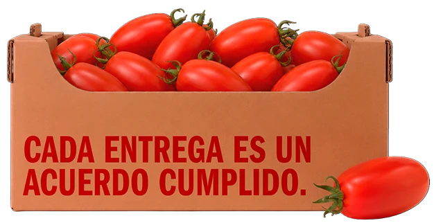 Caja de tomate HM Produce